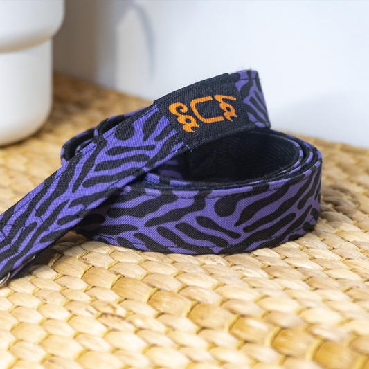 CINTA PORTA MÓVIL CEBRA MORADO